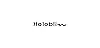 halobliss wireless bras logo